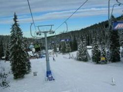 Rogla Skiing