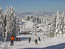 Kopaonik Smještaj