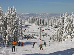 Kopaonik Accommodation 2024/2025
