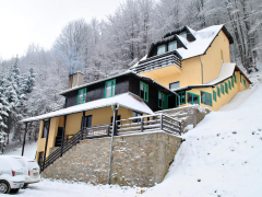 Kopaonik Guest House Villa Radigost