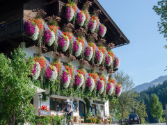 Kitzbühel Hotel Seebichl