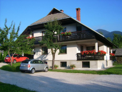 Bohinjska Bistrica Apartments Žnidar