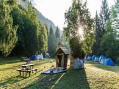 Adrenaline Check Camping