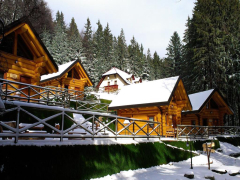 Hočko Pohorje Green Village Ruševec