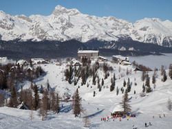Vogel Skiing 2024/2025